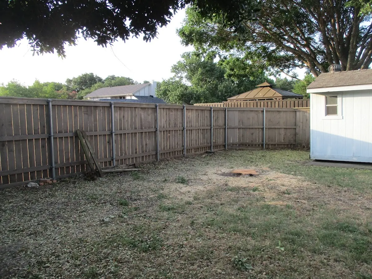 Cleared yard after professional tree removal in Palomar Mountain